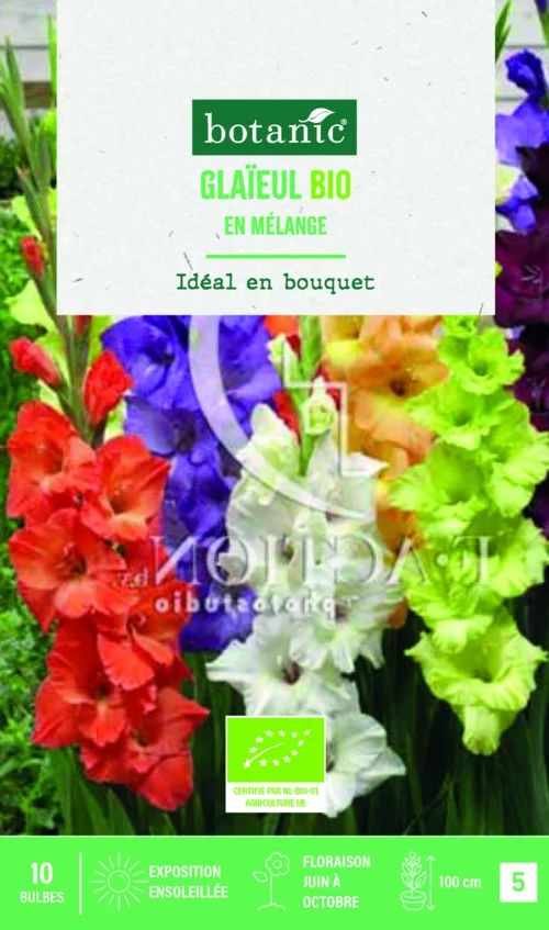 Jardin et équipement:Bulbes de fleurs Glaïeul grandes fleurs en mélange bio botanic® - 10 bulbes