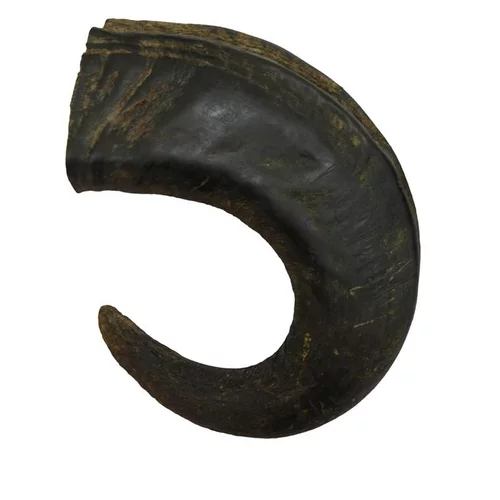 Pour profiter du jardin:Corne de buffle pour chien – Taille L