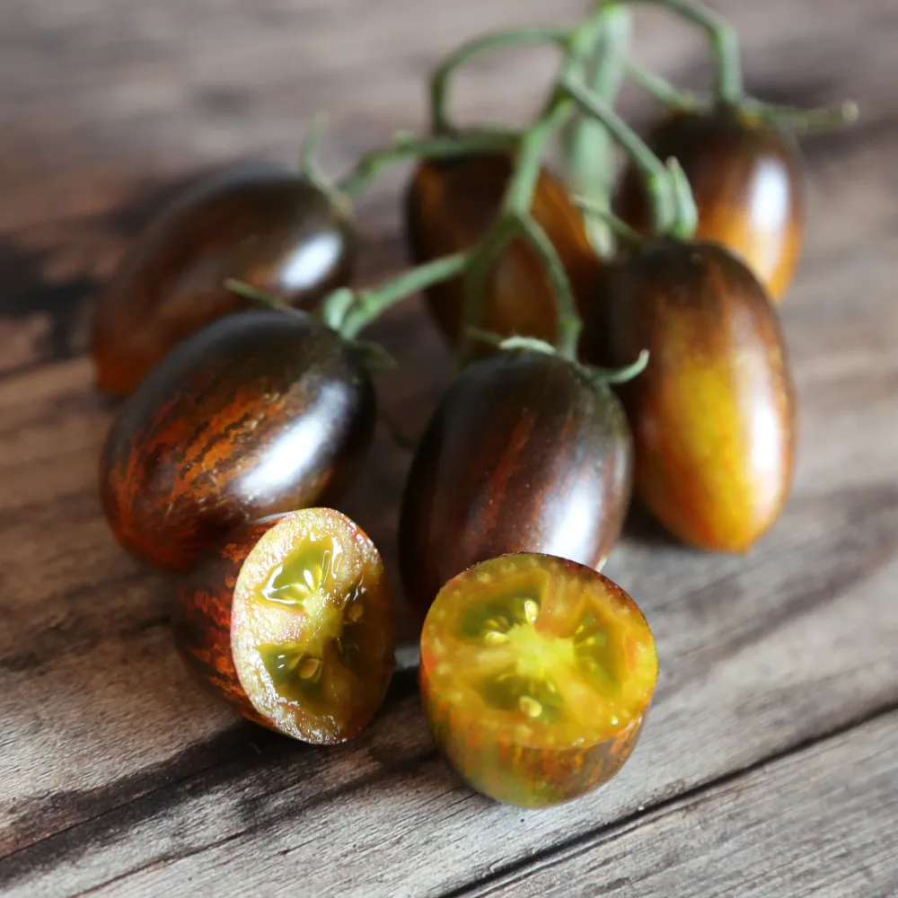TOMATE BRAD'S ATOMIC GRAPE AB