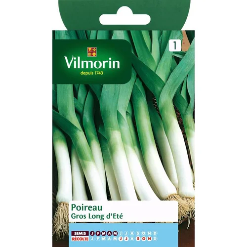 Pour embellir le jardin:Poireau Gros Long d'Été Vilmorin - graines à semer