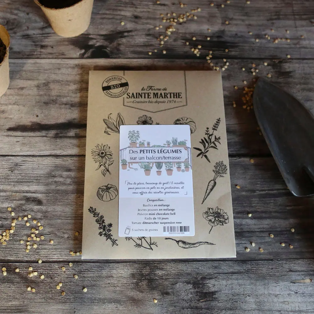 ASSORTIMENT POUR CULTIVER DES PETITS LÉGUMES SUR UN BALCON