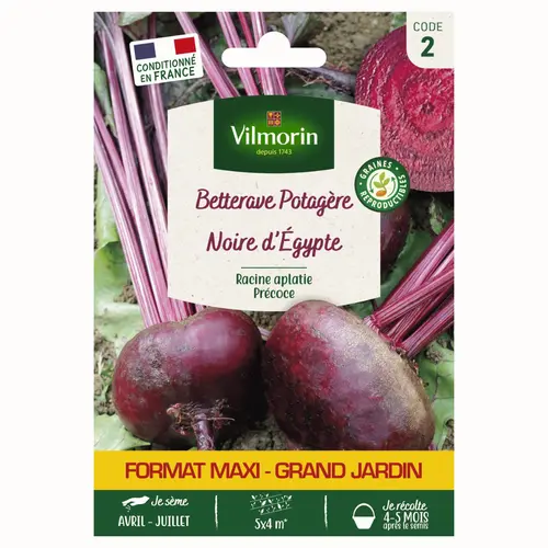 Pour un extérieur plus agréable:Betterave d'Égypte Vilmorin - graines à semer