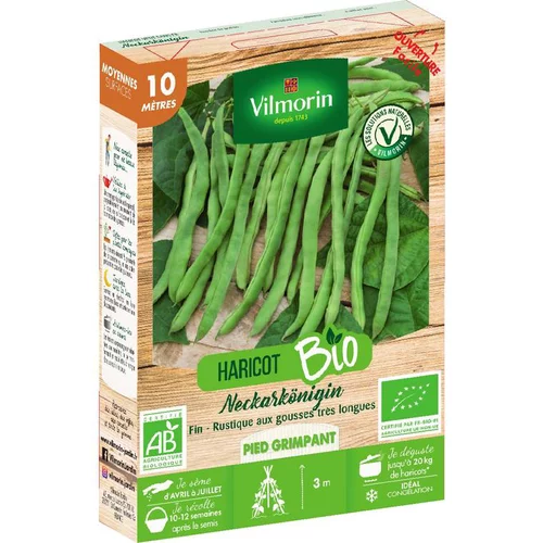 Jardin et solutions:Graines de haricot rame Neckarkönigin Vilmorin - graines à semer