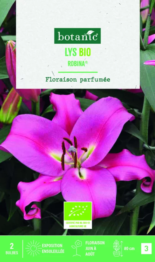 Pour vos envies de jardin:Bulbes de fleurs Lys oriental Robina bio botanic® - 2 bulbes