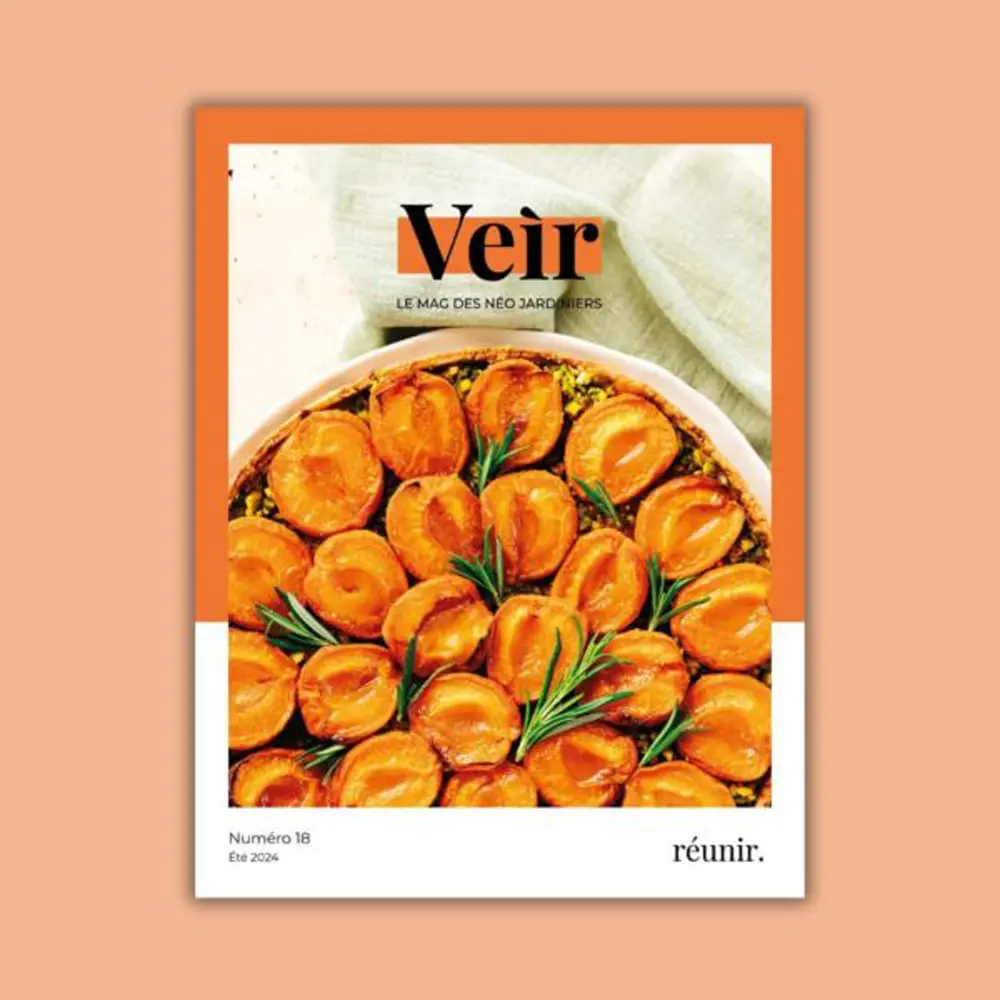VEIR MAGAZINE - n°18 Réunir