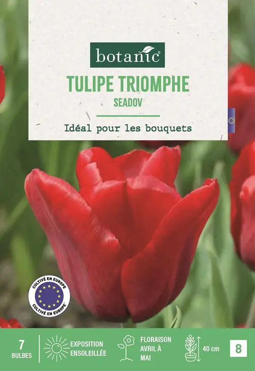 Jardin à découvrir:Bulbes de fleurs Tulipe triomphe Seadov rouge botanic® - 7 bulbes