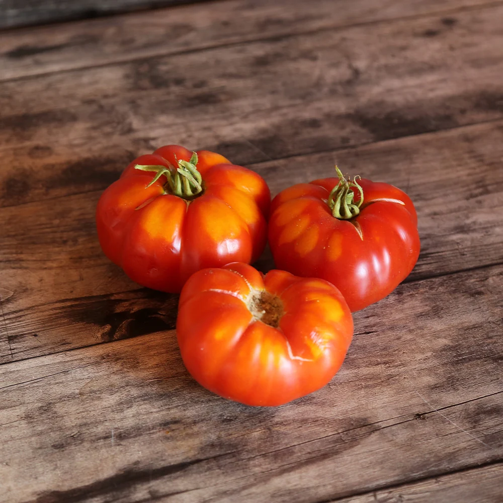 TOMATE MARMANDE AB