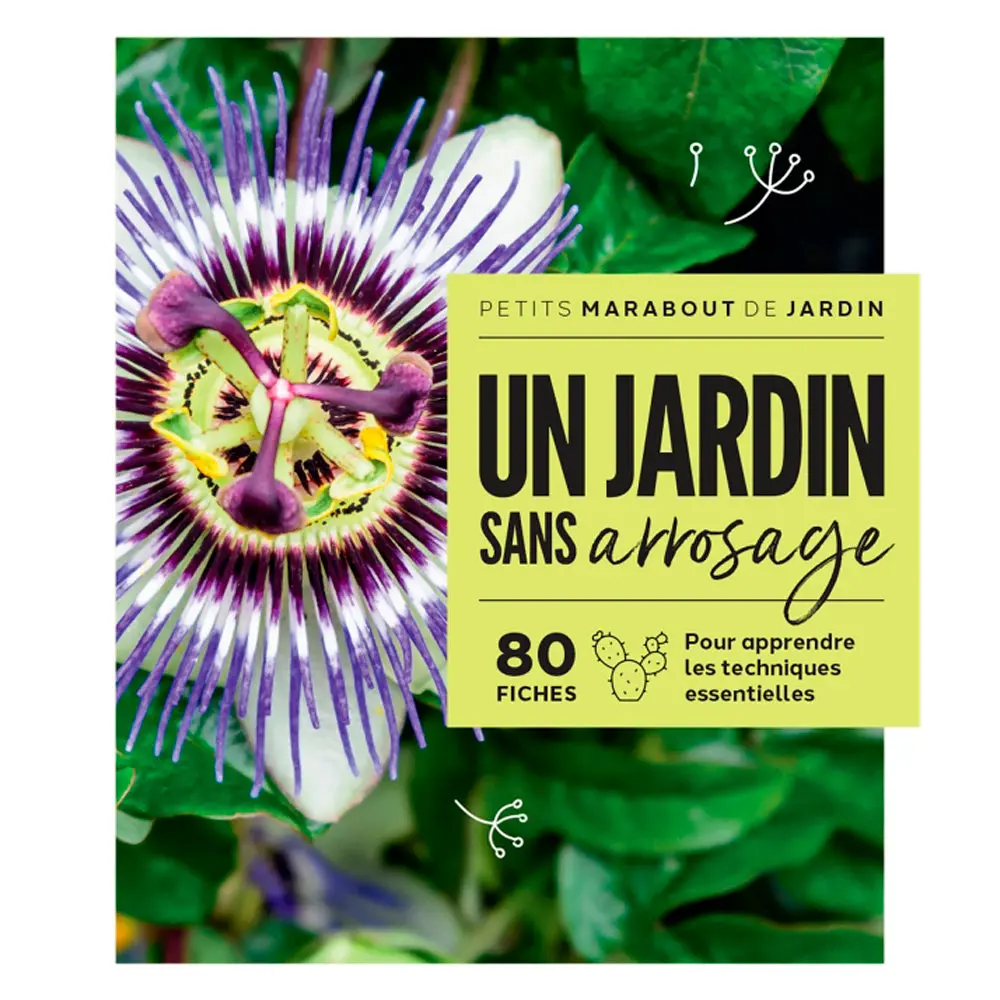 UN JARDIN SANS ARROSAGE