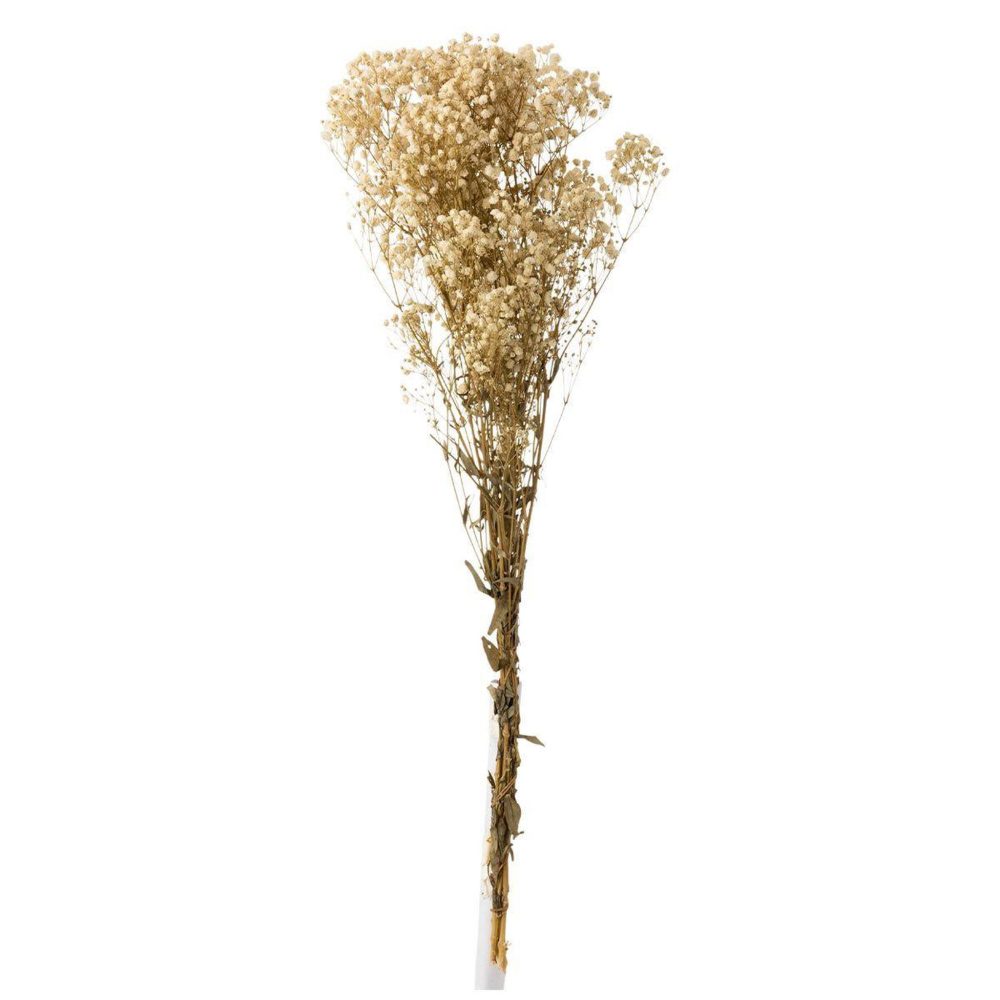 J-LINE Bouquet de fleurs gypsophile séché 84cm écru