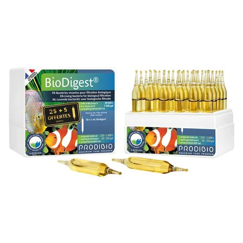 Pour vos envies d’extérieur:Ampoules biodigest rééquilibrant bio, PRODIBIO - 30 unités