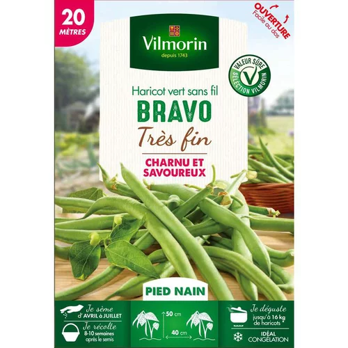 Style pour le jardin：Graines de haricot nain Bravo Vilmorin - graines à semer