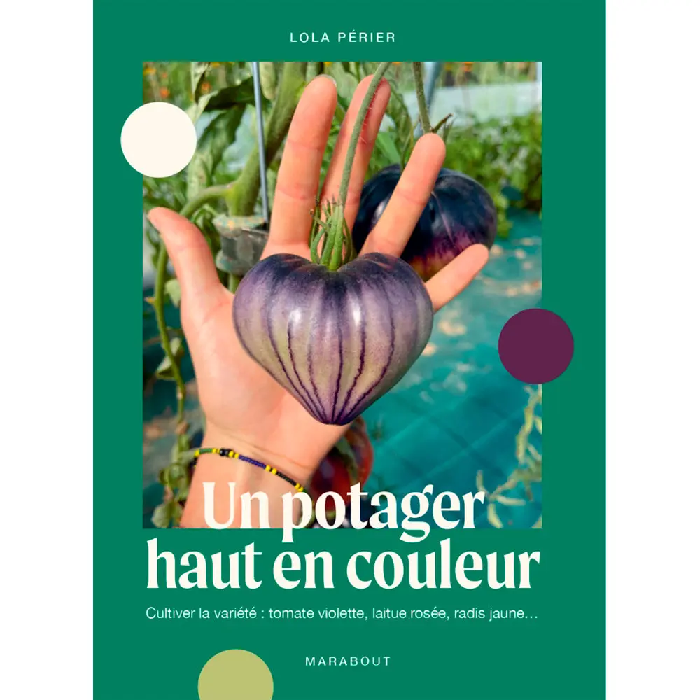 UN POTAGER HAUT EN COULEUR
