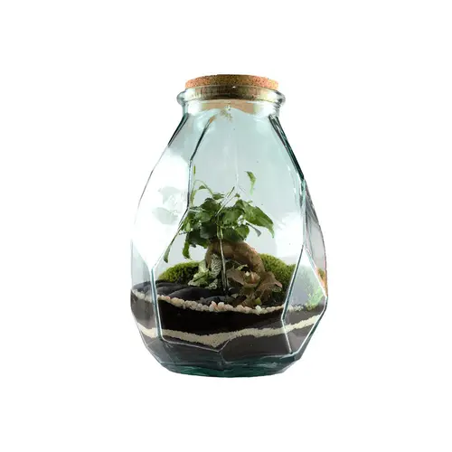 Jardin plaisir:Terrarium autonome Origami L botanic® - Ø 22 x 37 cm