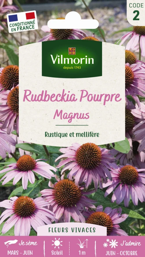 Jardin choix:Rudbeckia Pourpre Magnus Vilmorin - graines à semer