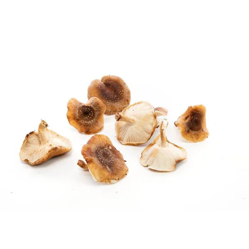 Mon jardin:Champignon Shiitake bio de France - Prix au kg