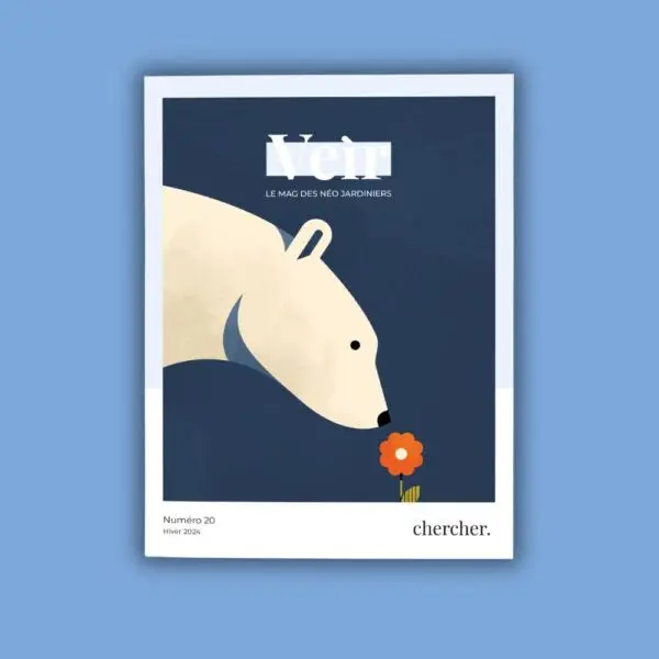 VEIR MAGAZINE - n°20 Chercher