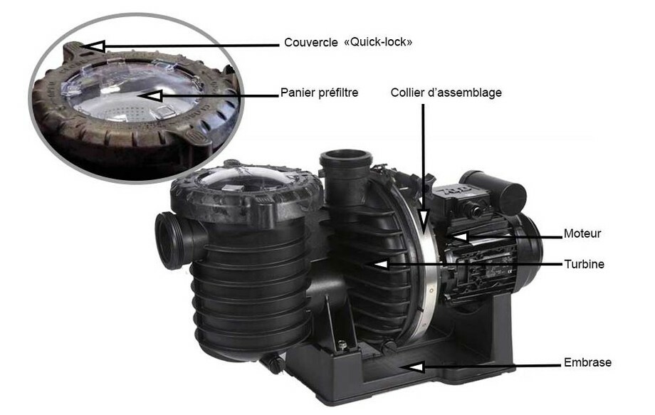 Pompe de filtration Sta Rite 5P6R, qualité et rendement
