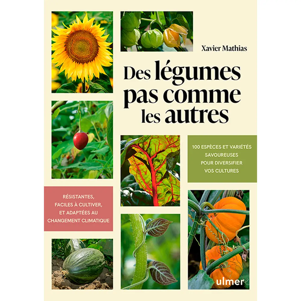 DES LÉGUMES PAS COMME LES AUTRES