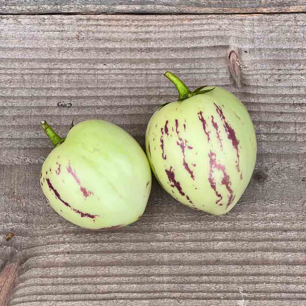 POIRE MELON - PEPINO NT