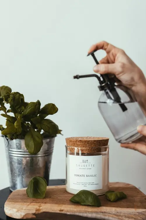Style extérieur:Bougie parfumée avec pochon Saugettes Les Essentielles senteur tomate Basilic - 100 g