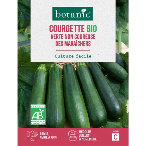 Un choix malin pour l’extérieur：Graines de courgette verte non coureuse des maraîchers bio botanic® - graines à semer