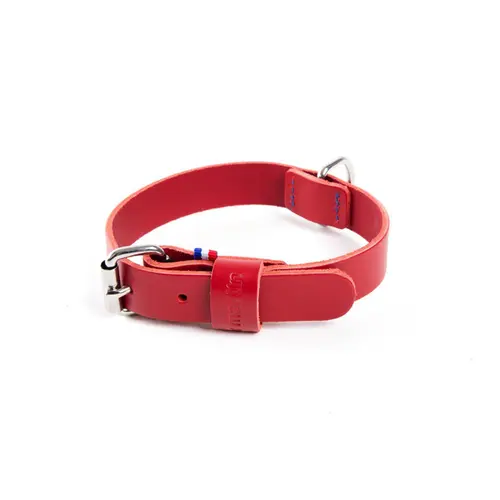 Pour faciliter le quotidien au jardin:Collier pour chien en cuir coloris rouge cousu Martin Sellier 499 - Taille 14/35