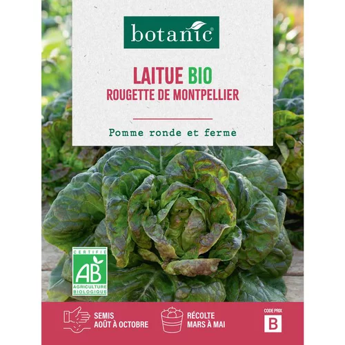 Malin extérieur：Graines de laitue rougette de Montpellier bio botanic® - graines à semer