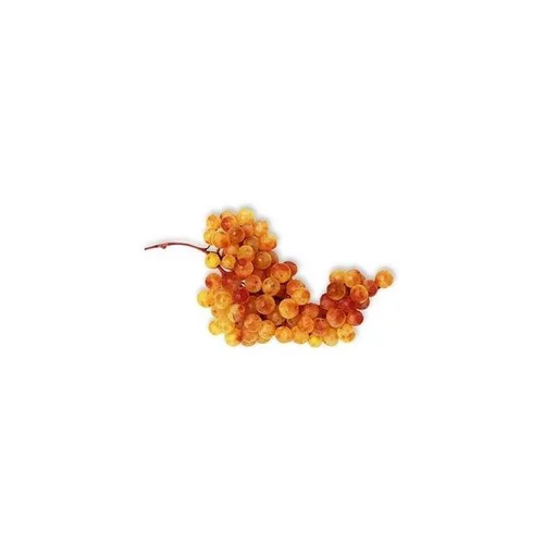 Espace vert facile:Raisin Danlas bio de France - Prix au kg