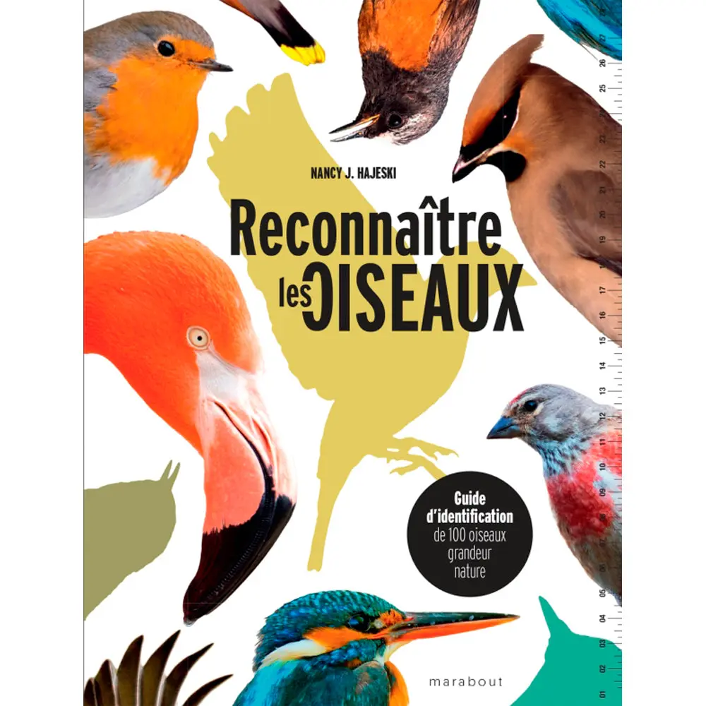 RECONNAITRE LES OISEAUX