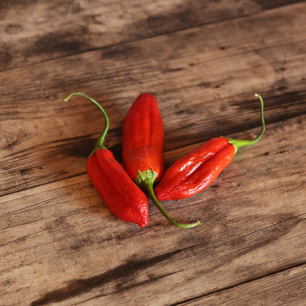 PIMENT DOUX AJI DELIGHT AB