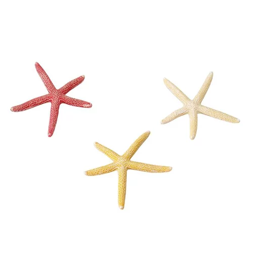 Jardin confort:Etoile de mer taille S - Ø 10 cm