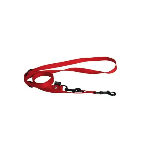 Facile pour le jardin:Laisse dressage 3pt rouge