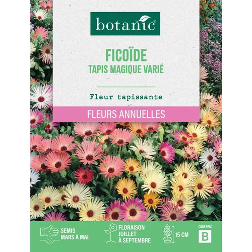 Jardin chez vous:Graines de fleurs de Ficoïde tapis magique varié botanic®