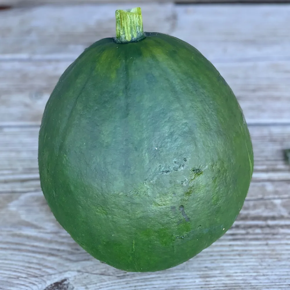 POTIRON COURGE DU PEROU AB