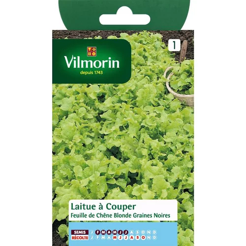 Maison et extérieur：Graines de laitue feuille de chêne blonde Vilmorin - graines à semer