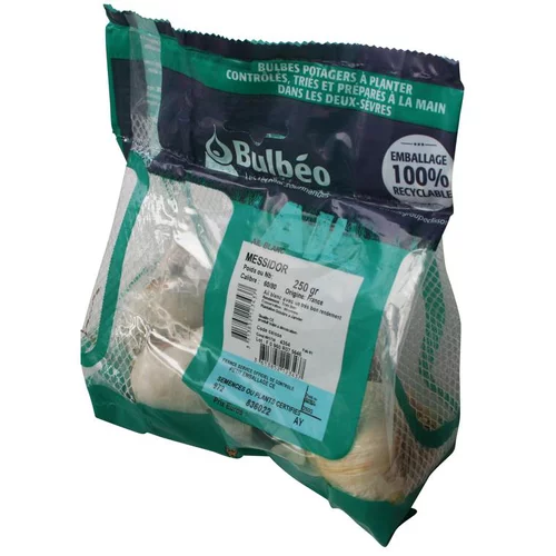 Votre allié au jardin:Ail blanc messidor filet de 250 g calibre 60+