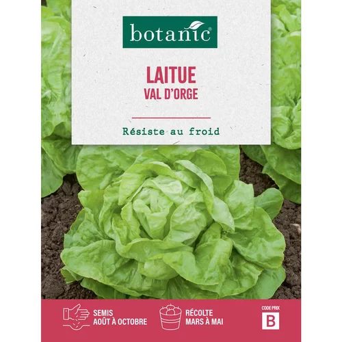 Votre allié au jardin：Graines de laitue val d'orge botanic® - graines à semer