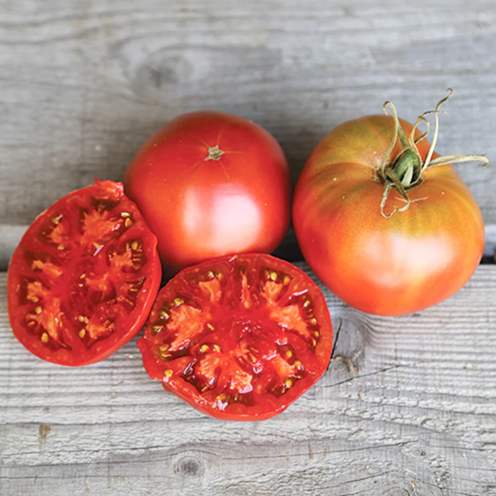 TOMATE NOIRE DE CRIMEE AB