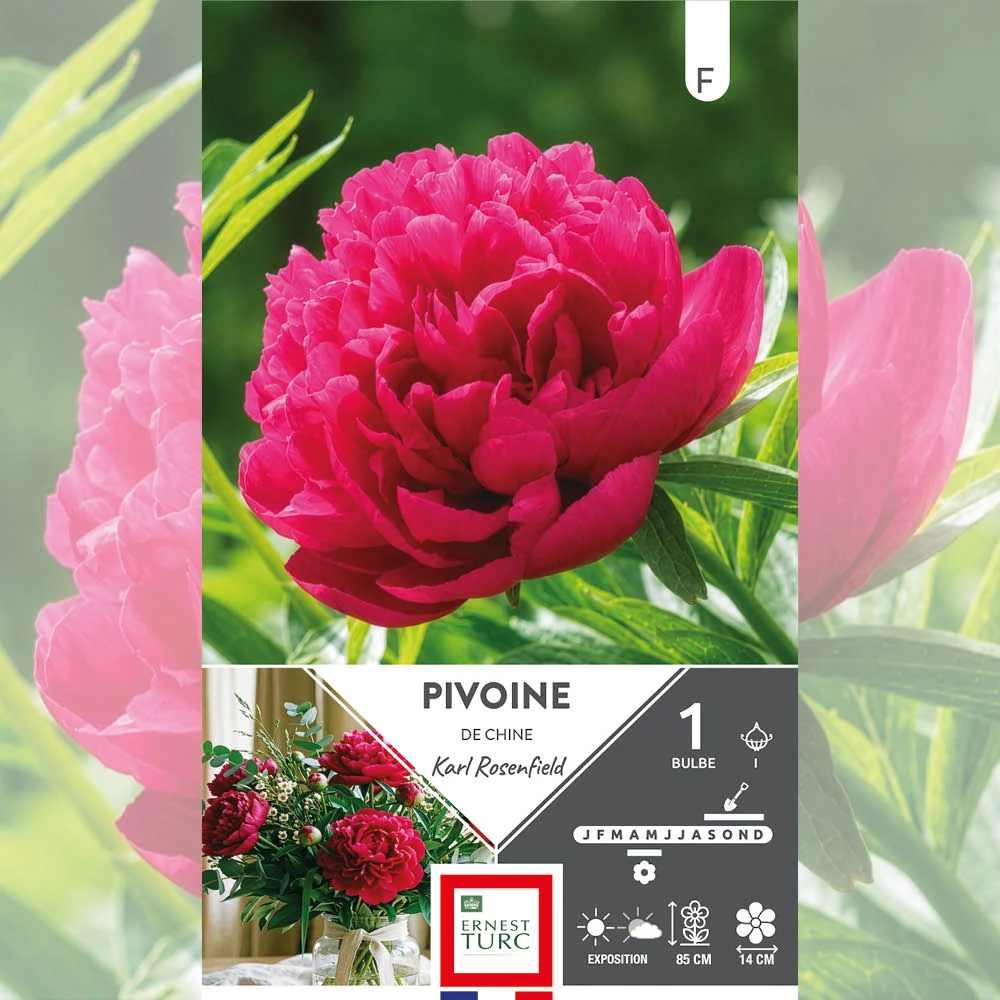 PIVOINE KARL ROSENFIELD