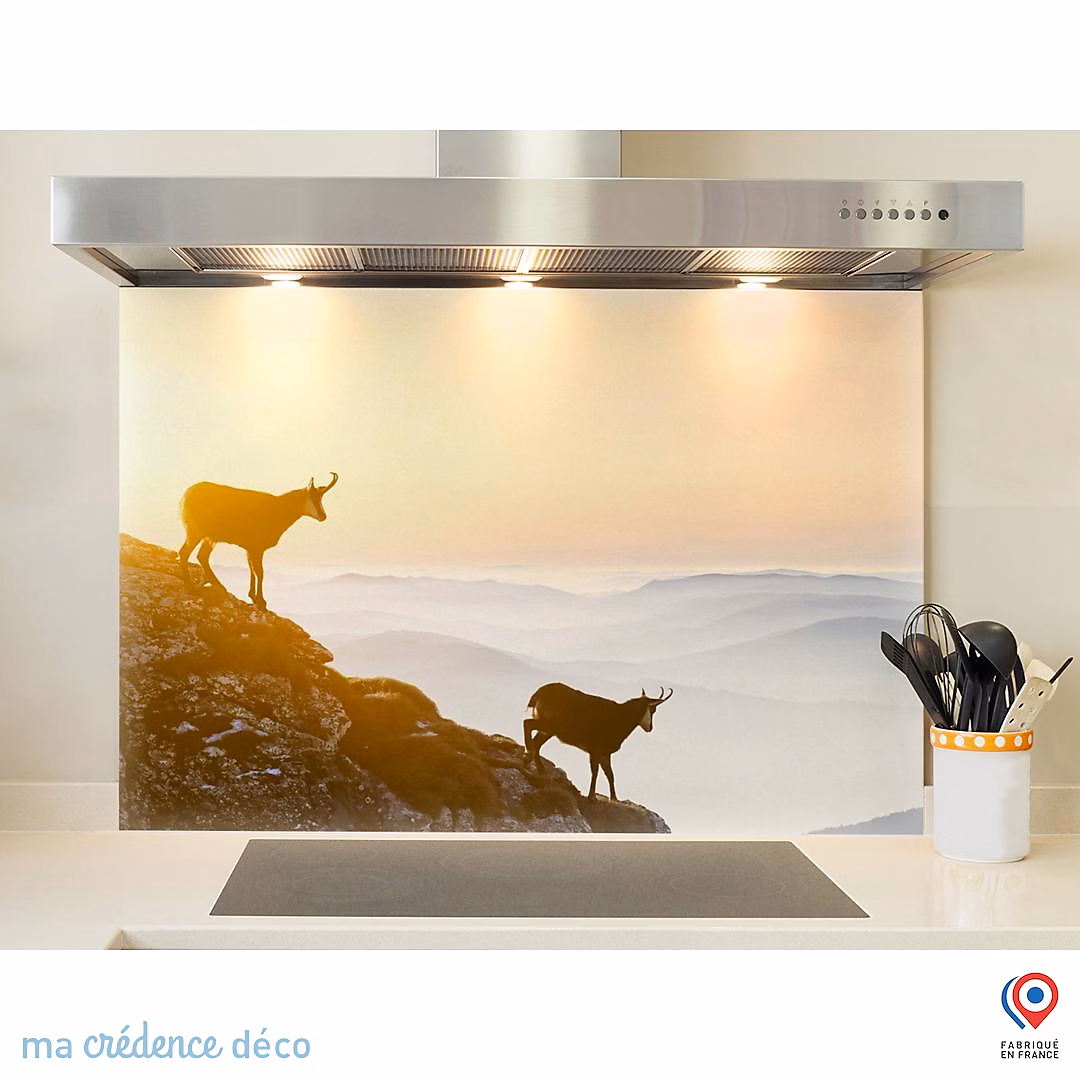 Crédence cuisine fond de hotte Chamois – Verre trempé, L 70 cm x H 60 cm, MaCrédenceDéco
