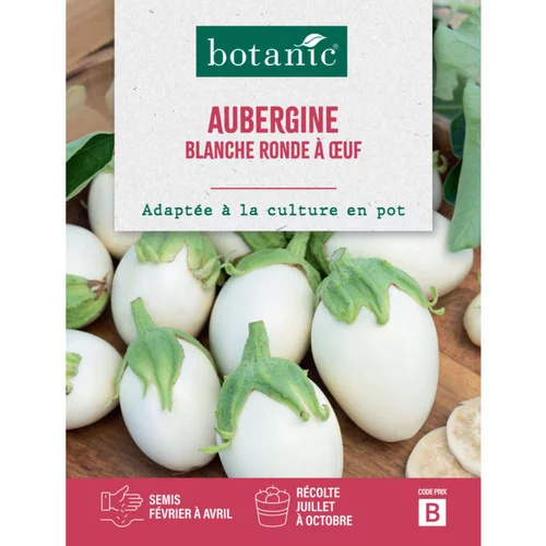 Sélection malin:Graines d'aubergine blanche ronde à œuf botanic® - graines à semer