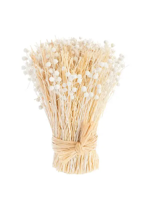 Une touche pratique au jardin:Botte boutons de fleurs séchées coloris beige naturel - 14 x 14 x 20 cm