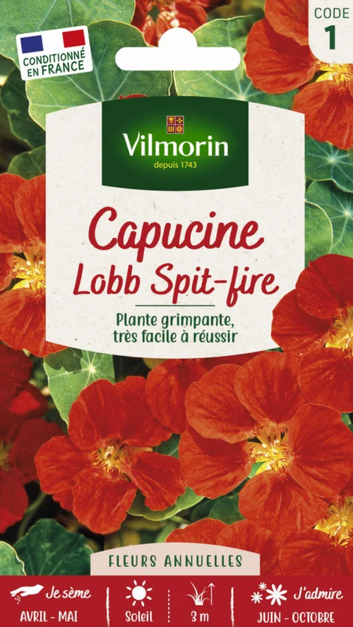 Jardin en pratique：Capucine Lobb Spit-Fire Vilmorin - graines à semer