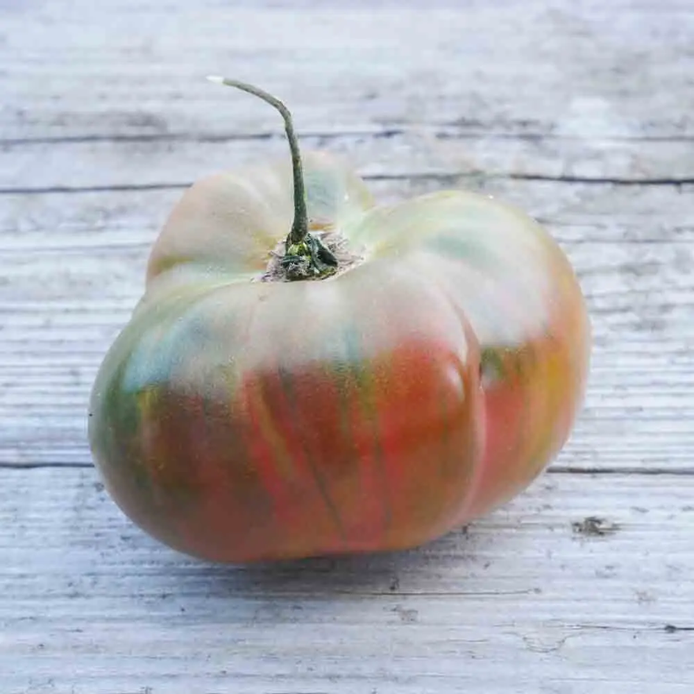 TOMATE ANANAS NOIRE AB
