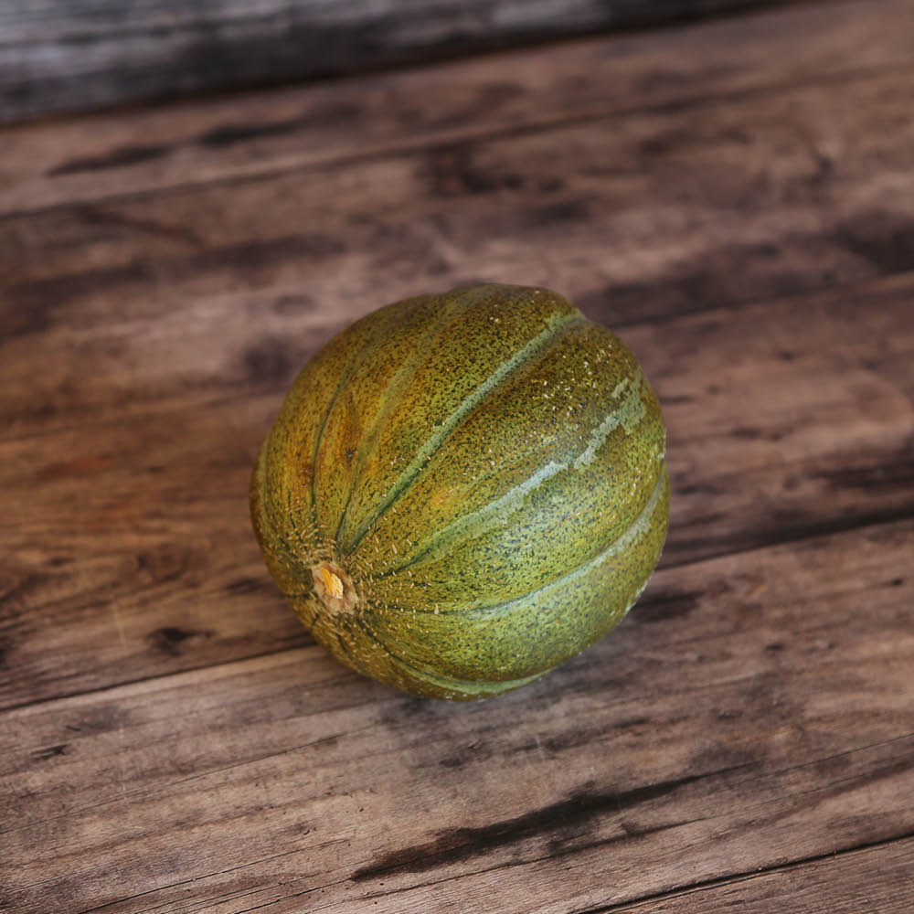 MELON OGEN AB