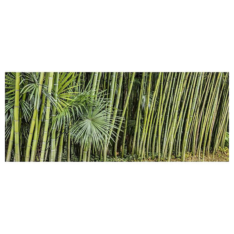 Brise vue zen HAIE DE BAMBOUS – H.1.2 x L.3 m, 100% occultant, Made in France par Scenolia + kit de fixation offert