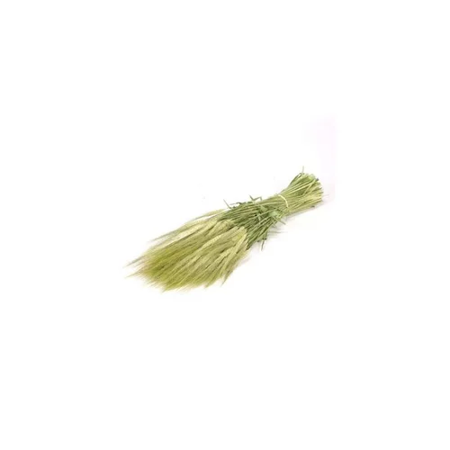 Idée au jardin:Bouquet de fleurs séchées coloris vert