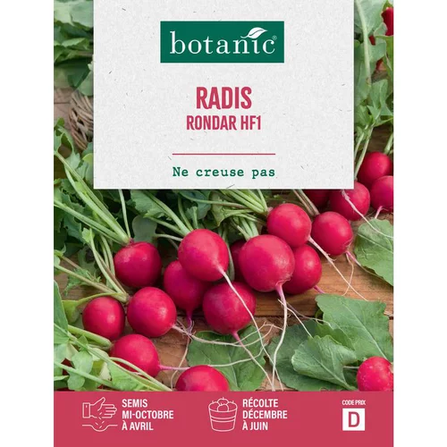 Jardin facile:Graines de radis rondar HF1 botanic® - graines à semer