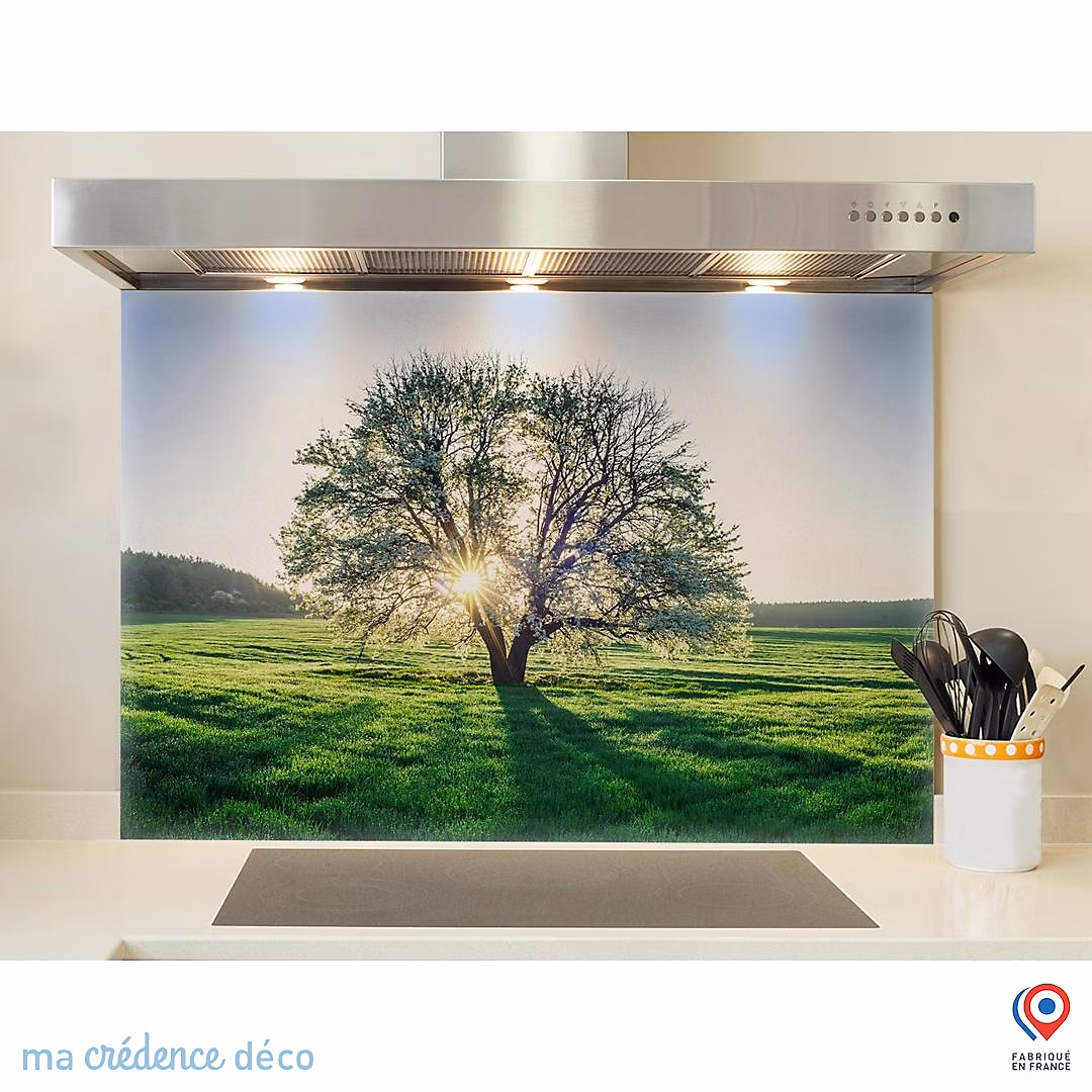 Crédence cuisine fond de hotte Arbre et lumière – Verre trempé, L 90 cm x H 50 cm, MaCrédenceDéco
