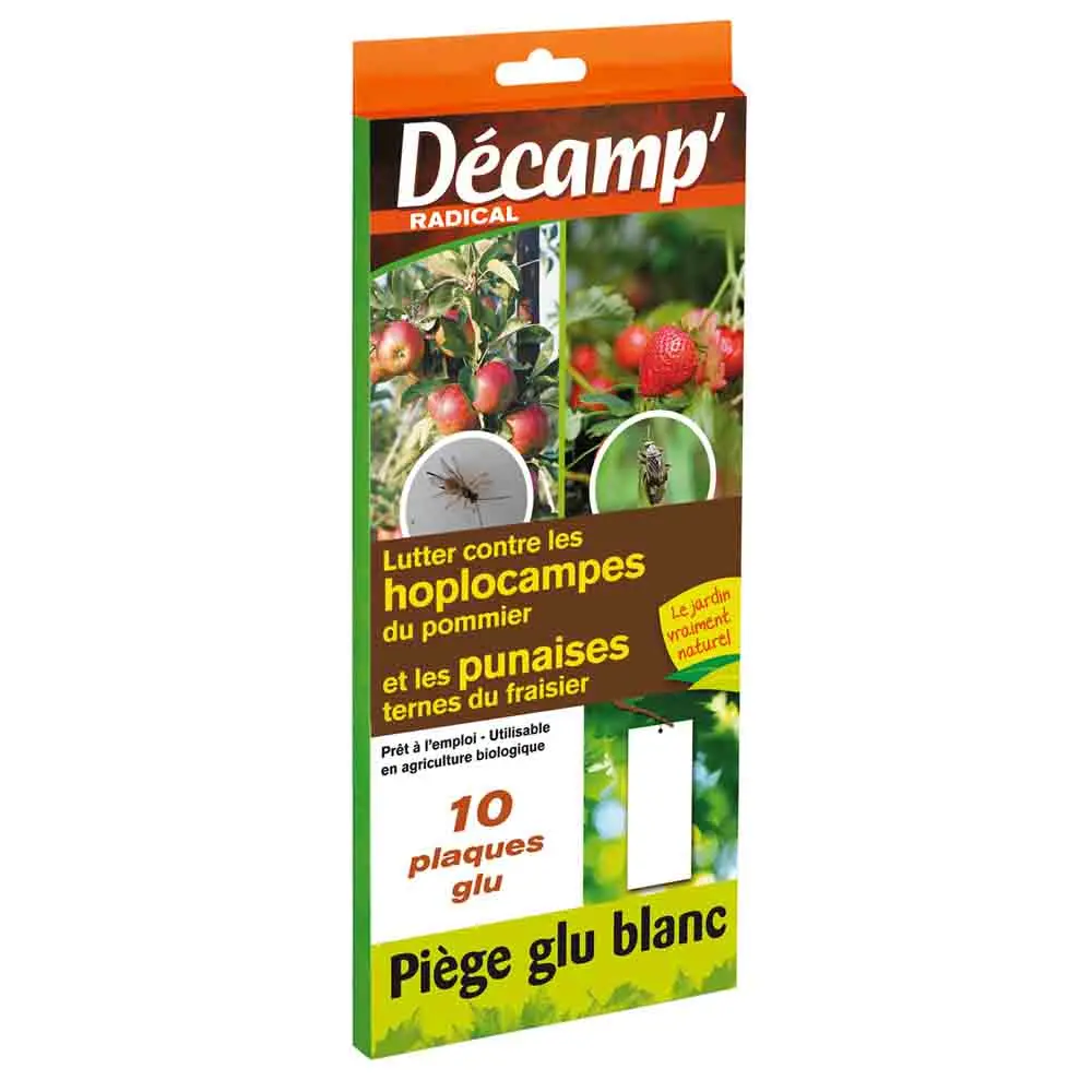 PIEGE CHROMATIQUE ENGLUE BLANC : CONTRE LES HOPLOCAMPES DU POMMIER ET PUNAISES TERNES DU FRAISIER